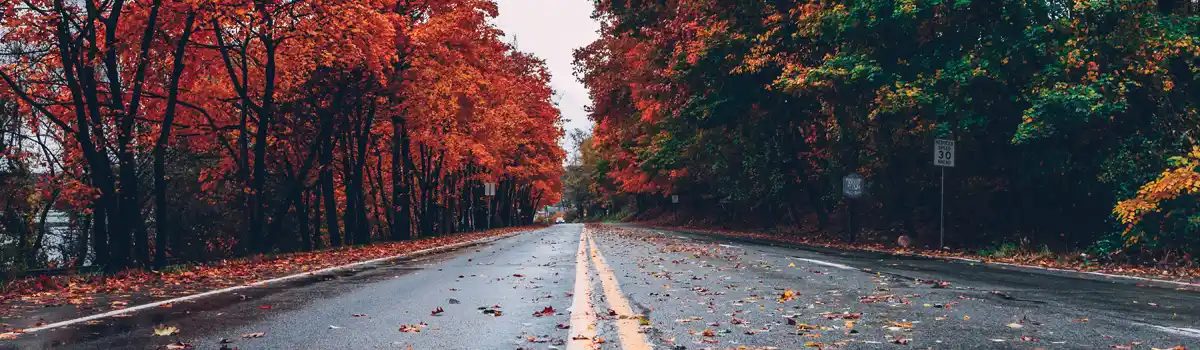 Consejos esenciales para conducir seguro en otoño