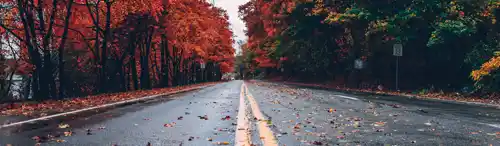 Consejos esenciales para conducir seguro en otoño
